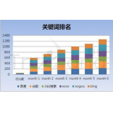 新泰如何防止SEO关键词排名下降